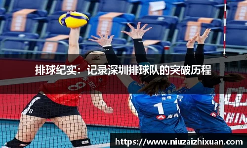 OE欧亿官网