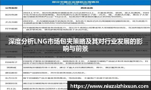 深度分析LNG市场包夹策略及其对行业发展的影响与前景