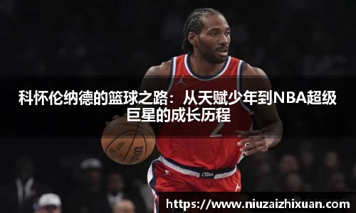 OE欧亿