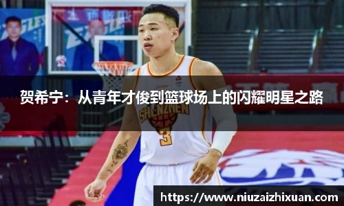 贺希宁：从青年才俊到篮球场上的闪耀明星之路